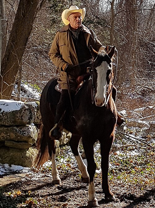 Corbin Bernsen, 2017
