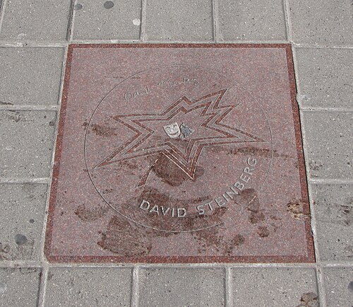David Steinberg, 2009