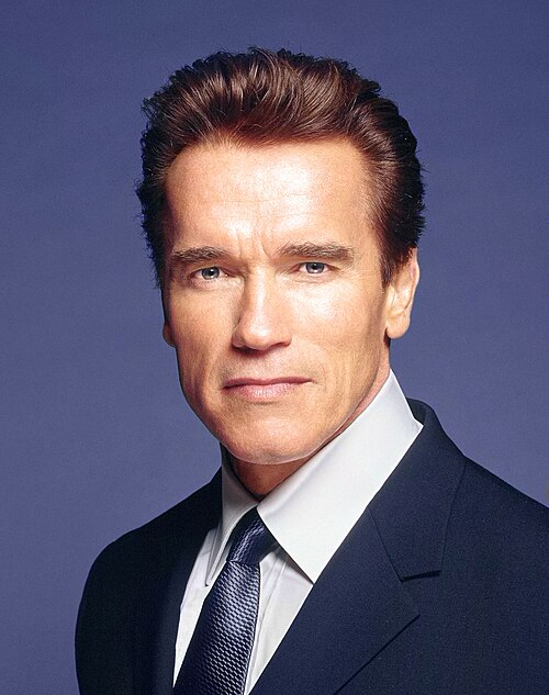 Arnold Schwarzenegger, 2003