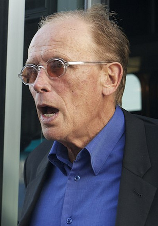 Peter Weller, 2013