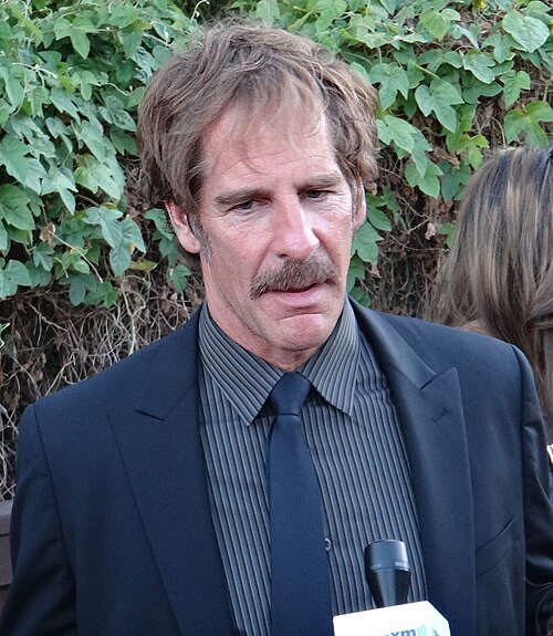 Scott Bakula, 2012
