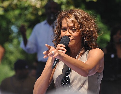 Whitney Houston, 2009