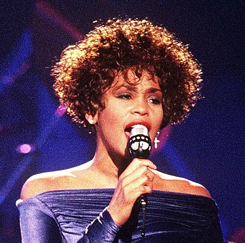 Whitney Houston, 1991