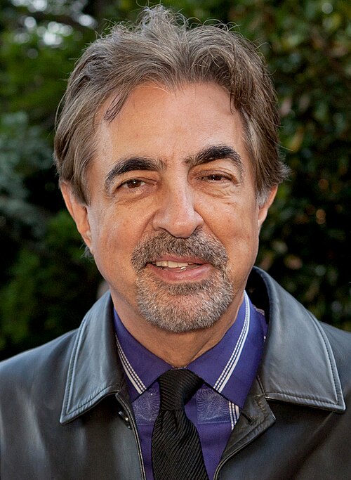 Zdjęcie: Joe Mantegna