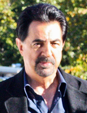 Joe Mantegna, 2010