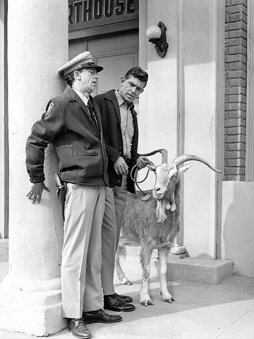 Zdjęcie: Andy Griffith