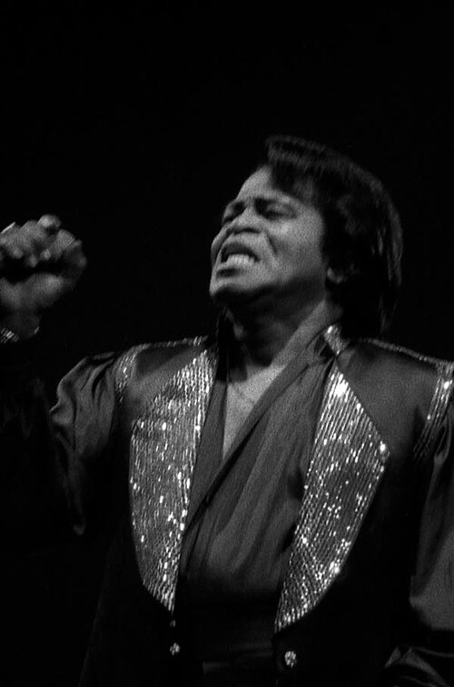 James Brown, 1993