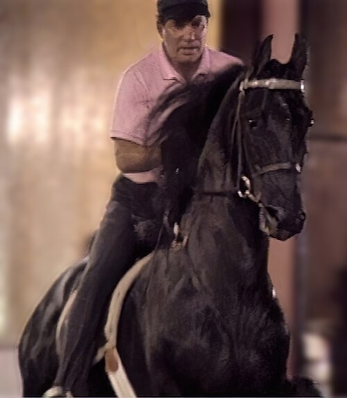 William Shatner, 1993