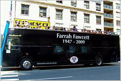 Farrah Fawcett, 2009