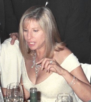 Barbra Streisand, 1995