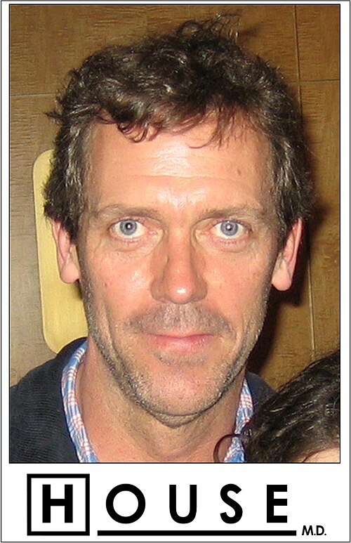 Hugh Laurie, 2009