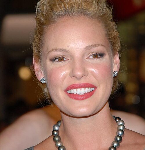 Katherine Heigl, 2008