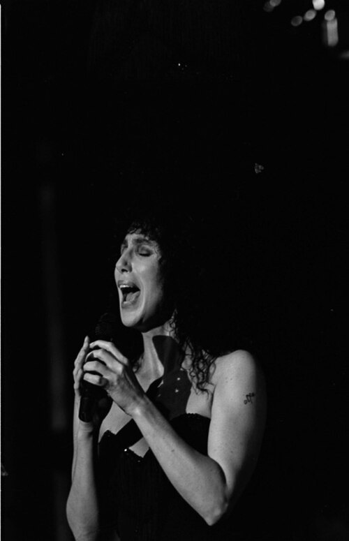 Cher, 1989