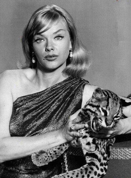 Zdjęcie: Anne Francis