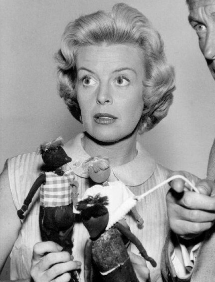 Zdjęcie: Patricia Donahue