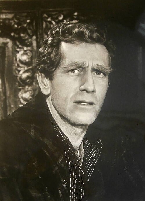 Zdjęcie: John Anderson