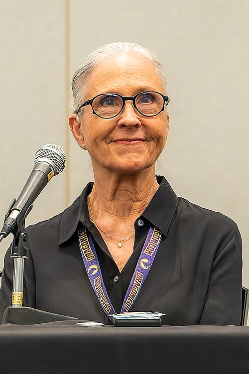 Zdjęcie: Erin Gray
