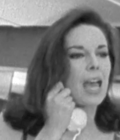 Zdjęcie: Tracy Reed