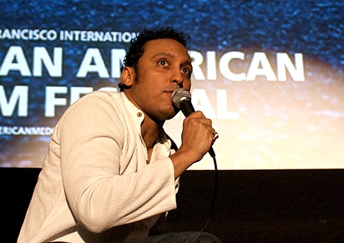 Aasif Mandvi, 2010