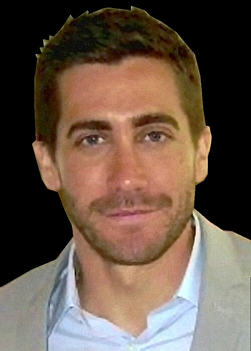 Jake Gyllenhaal, 2010