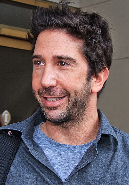 David Schwimmer, 2010