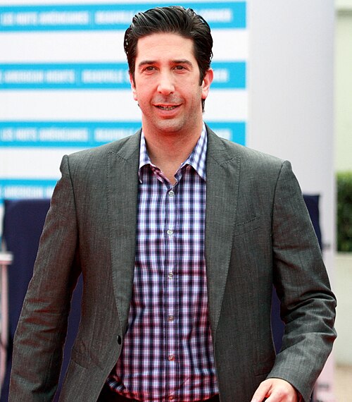 David Schwimmer, 2011