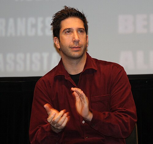 David Schwimmer, 2007