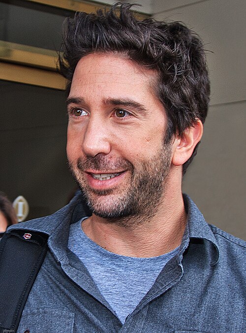 David Schwimmer, 2010