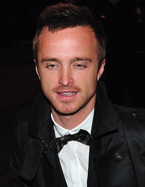 Aaron Paul, 2010