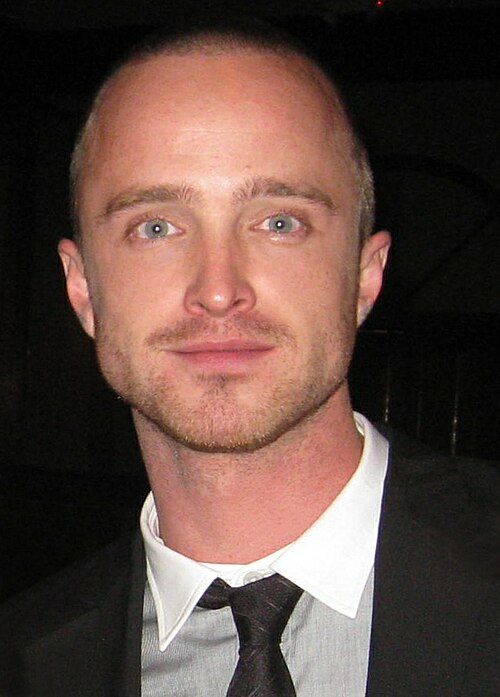 Aaron Paul, 2011