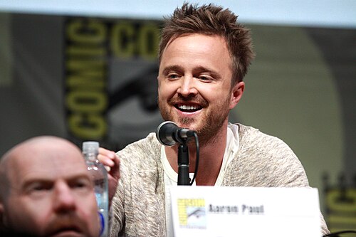 Aaron Paul, 2013