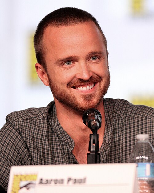Aaron Paul, 2012