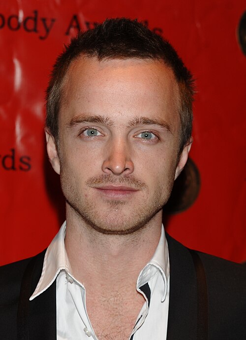 Aaron Paul, 2009
