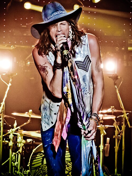 Steven Tyler, 2010