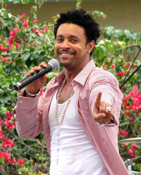 Zdjęcie: Shaggy