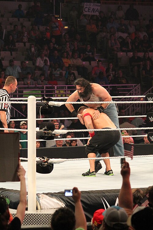 John Cena, 2014
