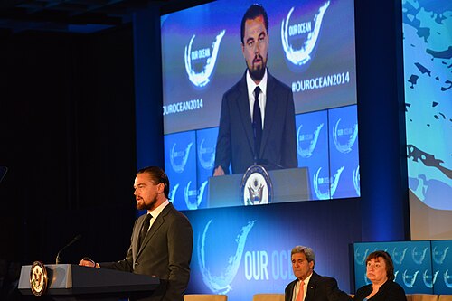Leonardo DiCaprio, 2014