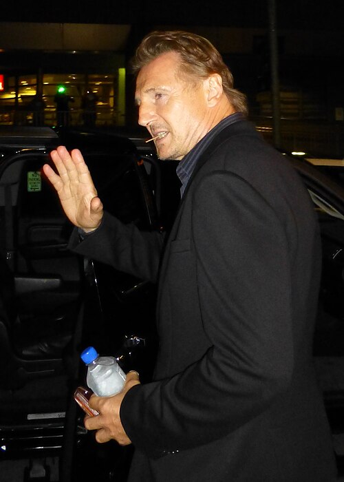 Liam Neeson, 2013