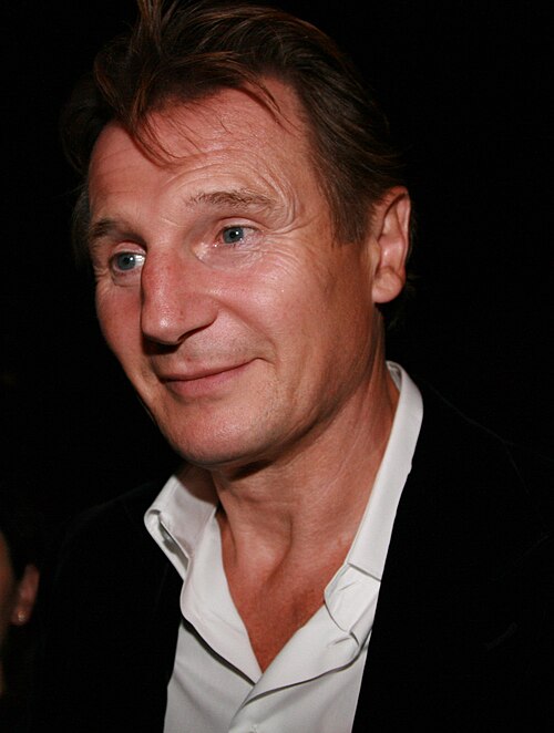 Liam Neeson, 2008