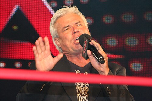 Eric Bischoff, 2010