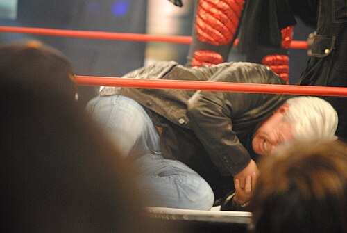 Eric Bischoff, 2011