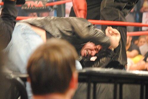 Eric Bischoff, 2011