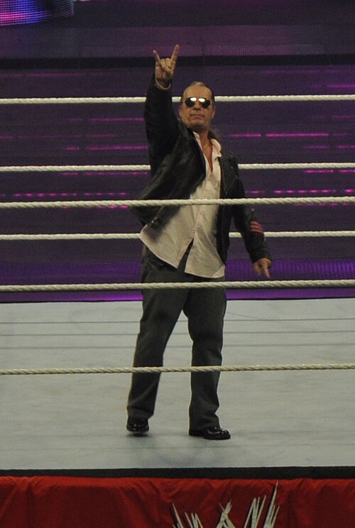 Zdjęcie: Bret Hart