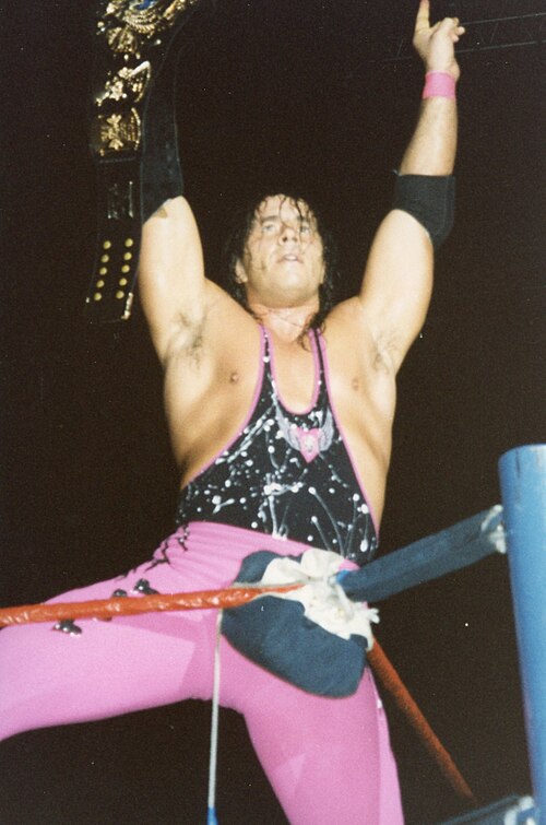 Bret Hart, 1994