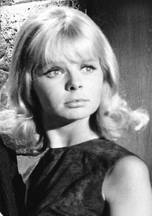 Zdjęcie: Laurel Goodwin