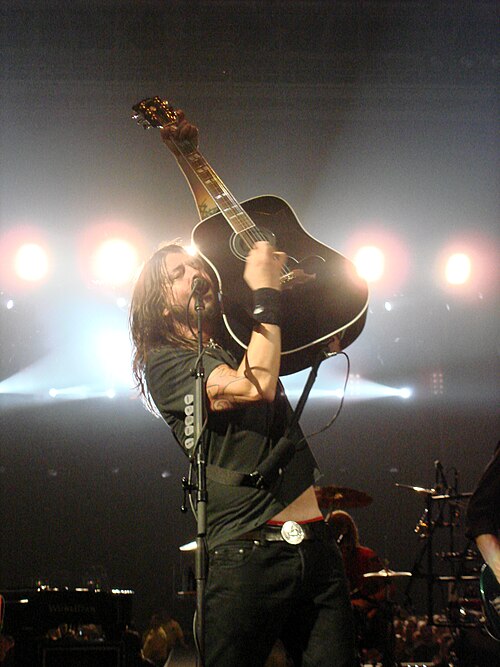 Dave Grohl, 2008