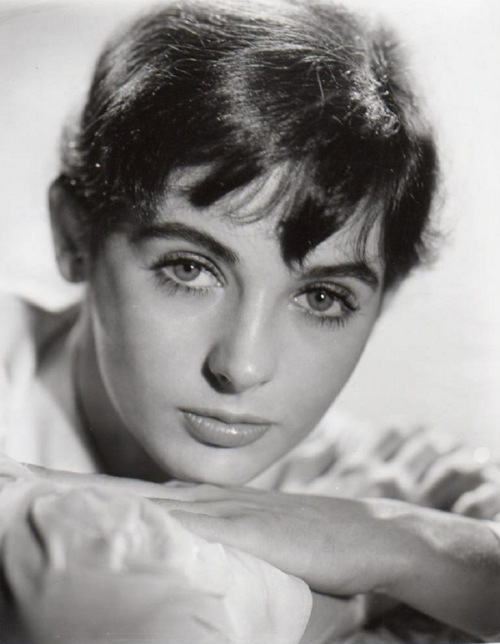 Zdjęcie: Millie Perkins