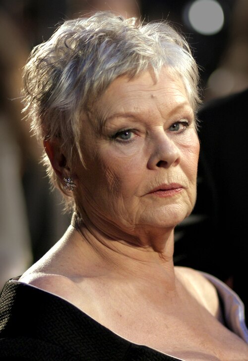 Judi Dench, 2007