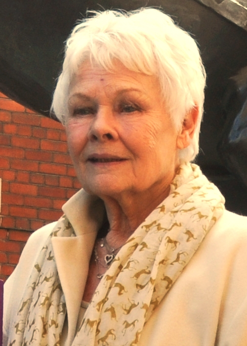 Judi Dench, 2015