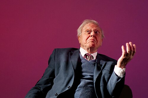 David Attenborough, 2013